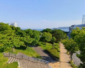 苔谷公園